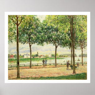 Póster Rua de Alfred Sisley   de árvores de castanha