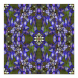 Póster Rua de Lupine....