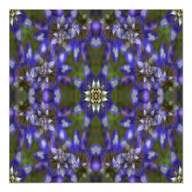 Póster Rua de Lupine.... (Frente)