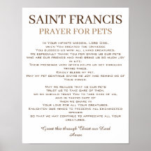 Rua. Francis Prayer para Animais de Companhia