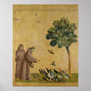 Póster Rua. Francisco de Assisi pregando aos pássaros