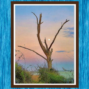 Poster Rua: Ilha Simons Georgia Beach Sunset e Moon