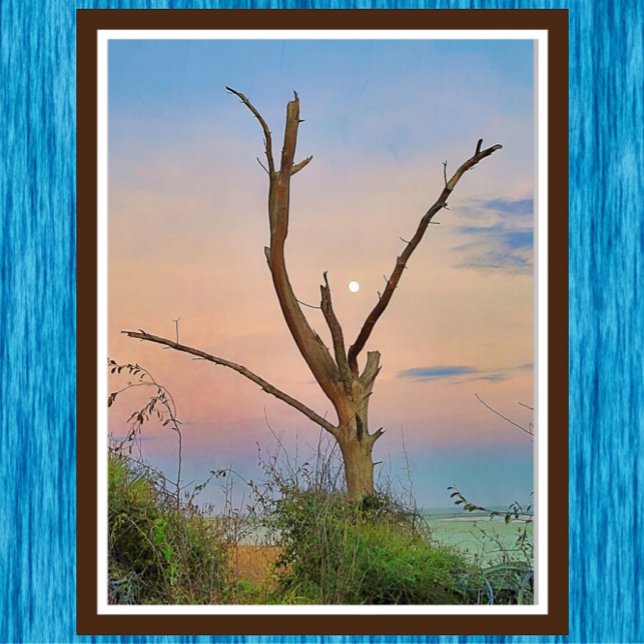 Poster Rua: Ilha Simons Georgia Beach Sunset e Moon (Criador carregado)