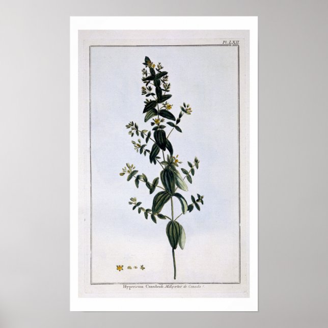 Póster Rua. João, placa 62, de 'Coleção Precie' (Frente)