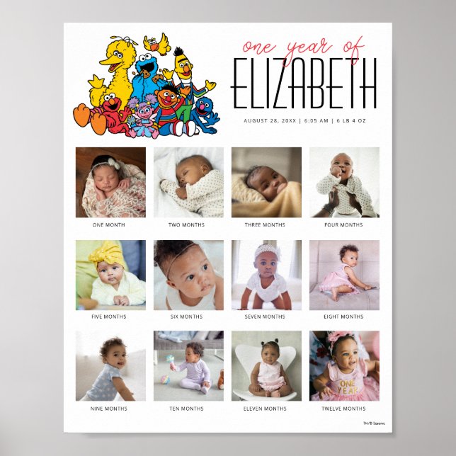 Poster Rua Sésamo Simples Um Ano de 12 Meses (Frente)