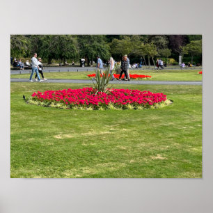 Poster Rua Stephens Green Dublin Irlanda Europa