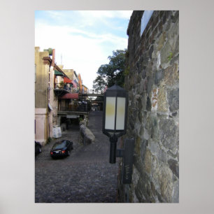 Póster Rua traseira do savana