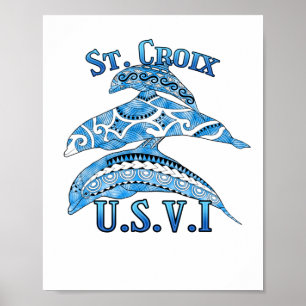 Poster Ruas. Croix USVI Vacinação - Golfinhos Tribais