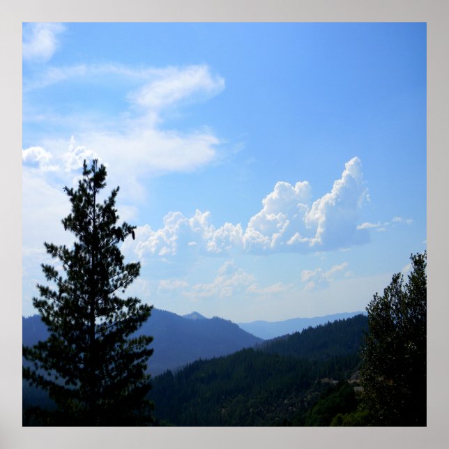 Poster Ruas de Verão..... (Frente)