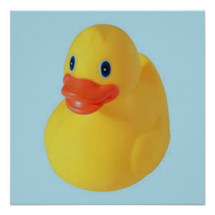 Póster Rubber Ducky