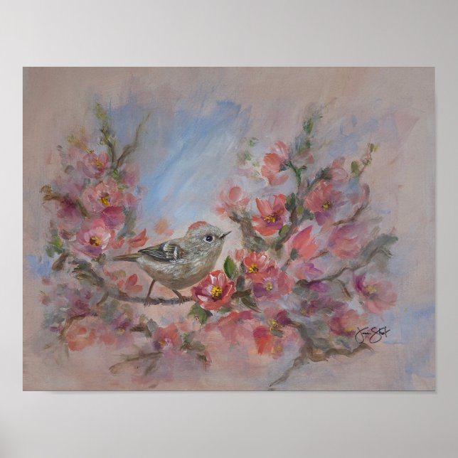 Poster Rubi-Crowned Kinglet Ave (Frente)