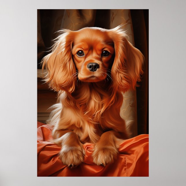 Poster Ruby Cavalier King Charles Spaniel (Frente)