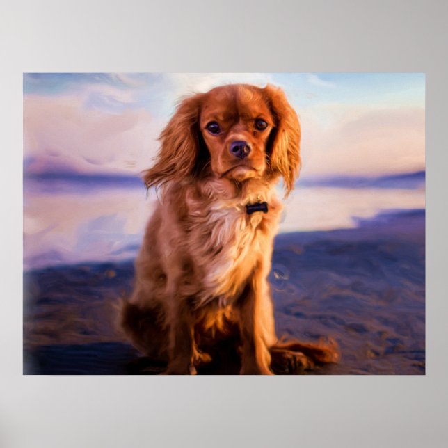 Poster Ruby Cavalier King Charles Spaniel Puppy Dog (Frente)