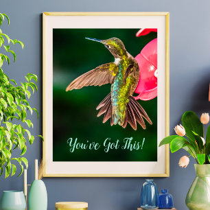 Poster Ruby Throated Hummingbird Você tem esta citação