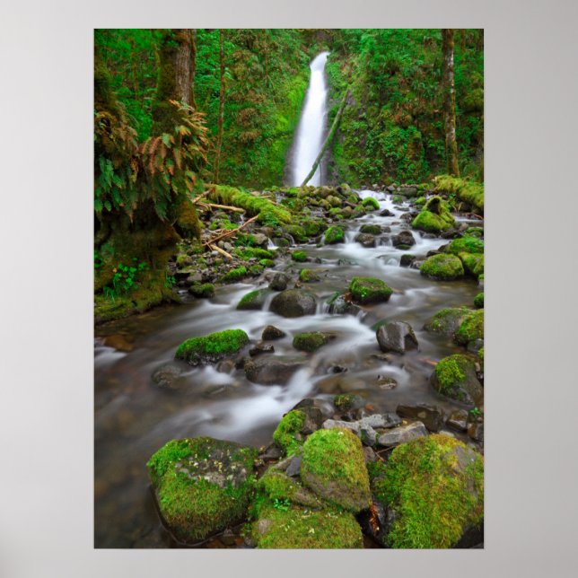 Poster Ruckel Creek Falls, Columbia River Gorge Oregon (Frente)