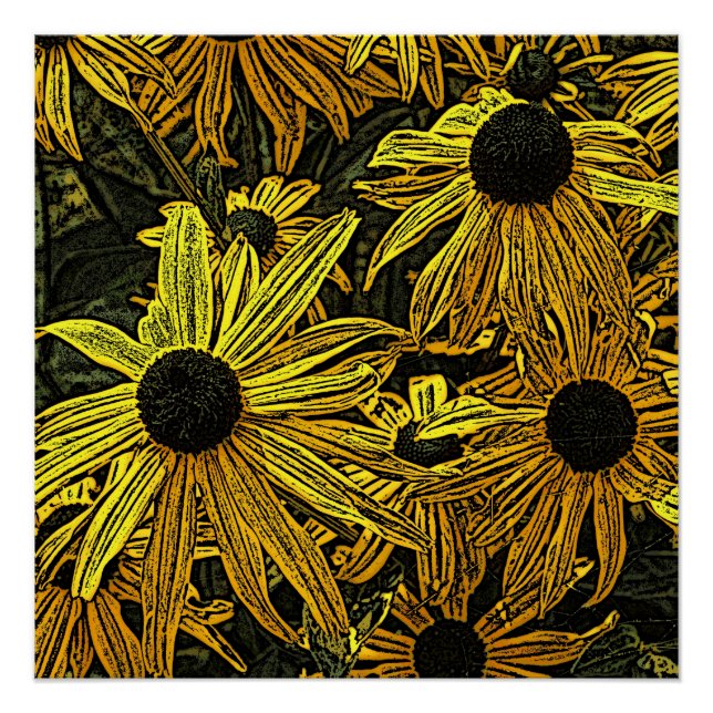 PÓSTER RUDBECKIAS (Frente)
