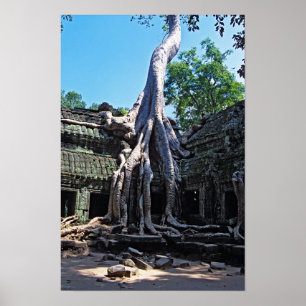 Poster Ruína de Ta Prohm - Angkor Wat, Camboja, Ásia