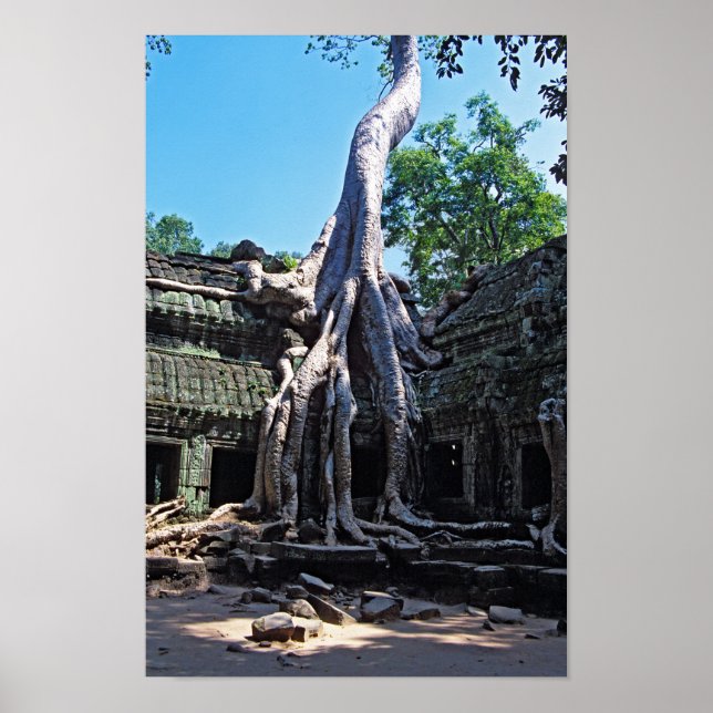 Poster Ruína de Ta Prohm - Angkor Wat, Camboja, Ásia (Frente)