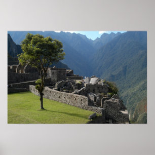 Póster Ruinous Heights