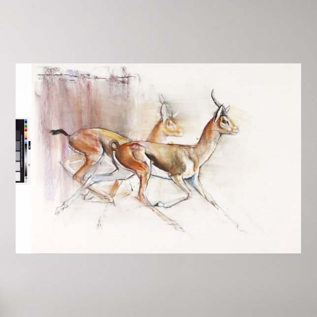 Poster Running Arabian Gazelles 2010 (Frente)