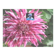 Rusks suecos da avó