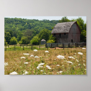 Póster Rustic Barn e Queen Anne's Lace