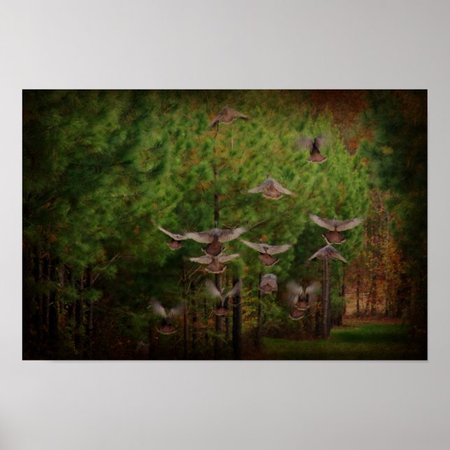 Poster Rustic Turkey's In Flight (Frente)