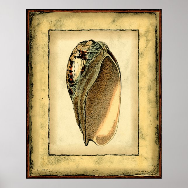 Poster Rustic Vintage Seashell (Frente)