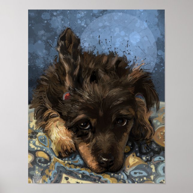 Poster Rusty o Poodle (Frente)