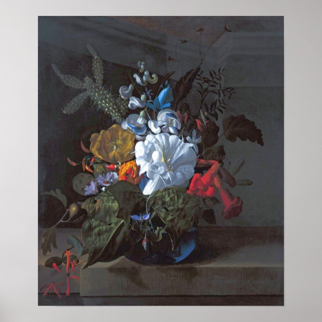 Poster Ruysch - Trombeta do Diabo, Cacto, Galho de Figo,  (Frente)