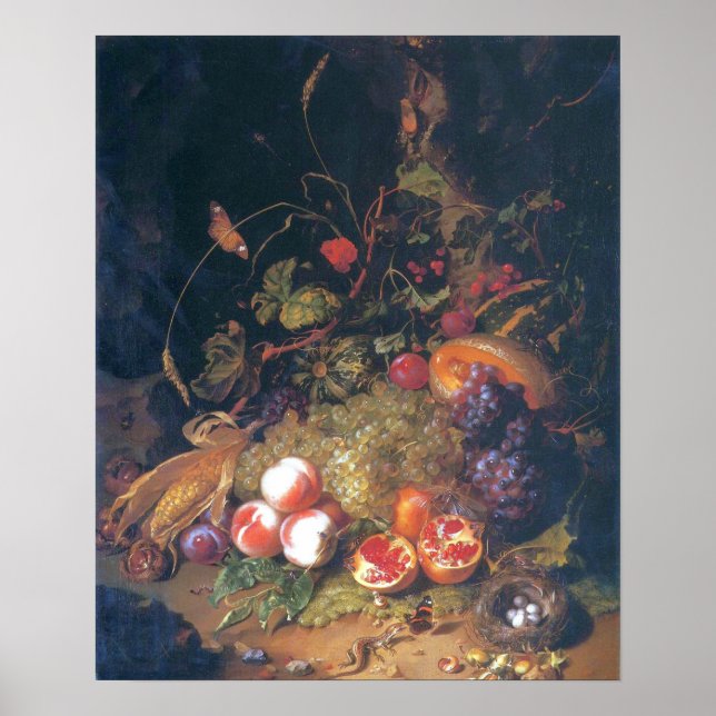 Poster Ruysch - Vida Estática Com Fruta, Ninho, Lizard (Frente)