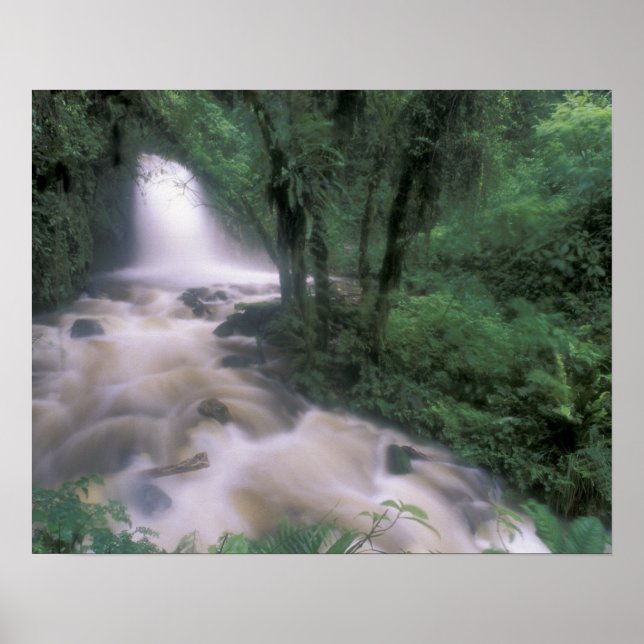 Poster SA, Peru, S.H. Machu Picchu, Cascata e nuvem (Frente)