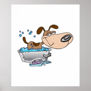 Poster Sábado à noite banho do cão