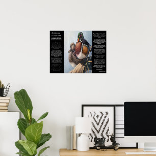 Poster Sabedoria e Patos pela Água DESIDERATA