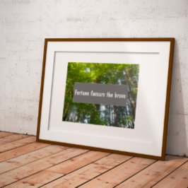 Poster Sabedoria Fortune favorece o corajoso ditado poste