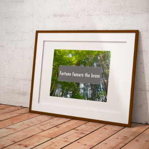 Poster Sabedoria Fortune favorece o corajoso ditado poste