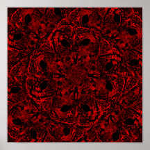 Sabedoria infinita das corujas