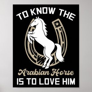 Poster Saber Que O Cavalo Árabe É Amar Ele - Cavalo E