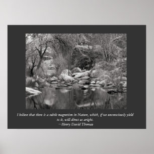 Póster Sabino Canyon Creek - Thoreau Canvas Print
