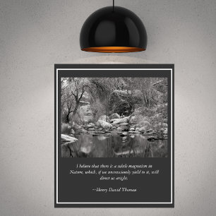 Poster Sabino Canyon Creek Winter Scense