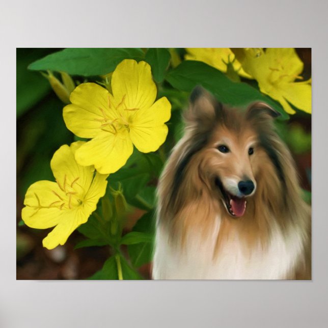 Póster Sable Collie Yellow Primrose Dog Art (Frente)