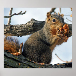 Póster Saboroso em minha barriga