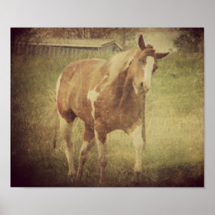 Póster Sacode Cabeça Espetacular