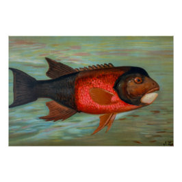 Póster Sacramento Pike por John L Petrie