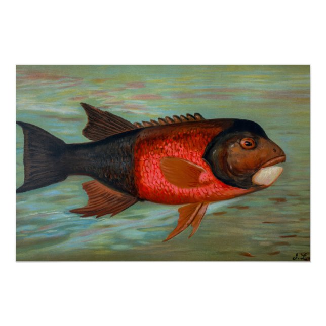 Póster Sacramento Pike por John L Petrie (Frente)