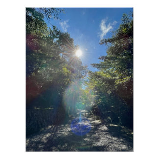 Póster Sacred Light on a Forest Path in Japan