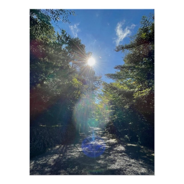 Póster Sacred Light on a Forest Path in Japan (Frente)