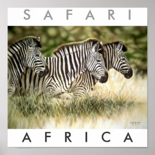 Póster Safari Arica