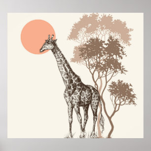 Poster Safari Sunset Giraffe Nature Scenery