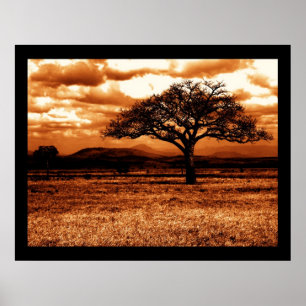 Póster Safari tanzaniano